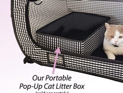 Necoichi Portable Stress-Free Cage Reviewing the Best Travel Pop-Up for Cats