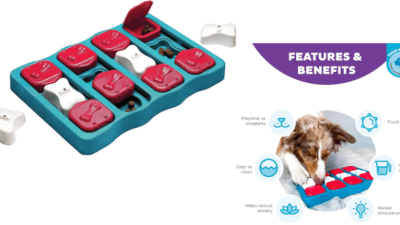 Nina Ottosson Dog Brick Testing the Intermediate Level Puzzle Game