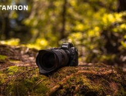 Tamron 28-75mm f/2.8 G2 Testing the Best Value Mirrorless Zoom Lens Performance