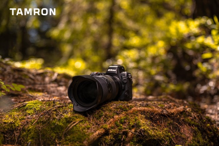 Tamron 28-75mm f/2.8 G2 Testing the Best Value Mirrorless Zoom Lens Performance