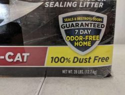 Arm & Hammer Clump & Seal A Review of the Best Odor Sealing Cat Litter