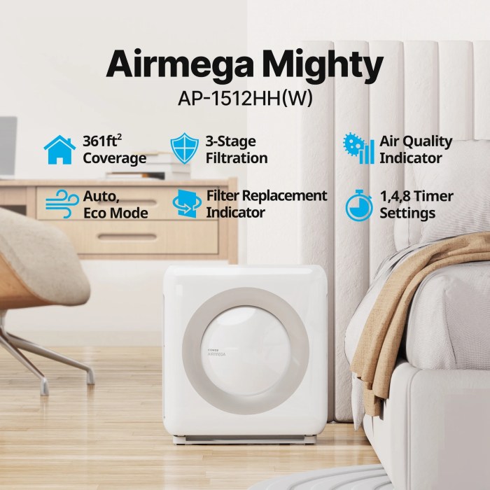 Coway Airmega AP-1512HH Mighty The Best Air Purifier Value?