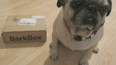BarkBox Subscription Reviewing the Monthly Personalized Dog Toy Theme