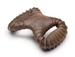 Benebone Wishbone Testing the Real Bacon Flavored Nylon Chew Toy