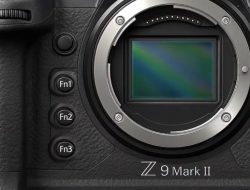 Nikon Z9 Mirrorless Testing the Flagship Speed and Subject Tracking Performance