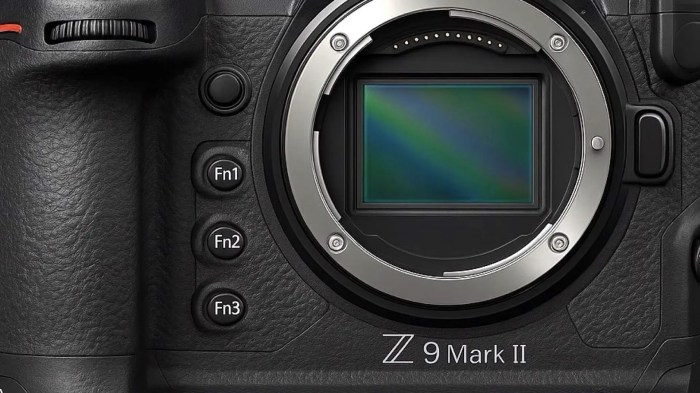 Nikon Z9 expected to match Canon EOS R3 for resolution and speed ... Nikon Z9 Mirrorless: Testing the Flagship Speed and Subject Tracking Performance