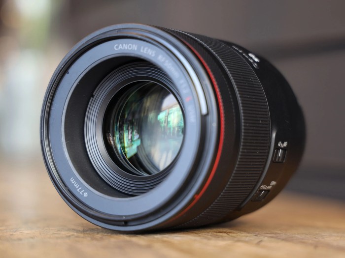 Canon RF 50mm f/1.2L USM Evaluating the Ultimate Prime Lens for Portraits