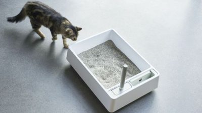 Tuft + Paw Cove A Review of the Designer Integrated Litter Box