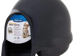 Booda Dome Clean Step A Review of the Hooded Litter Box with Stairs