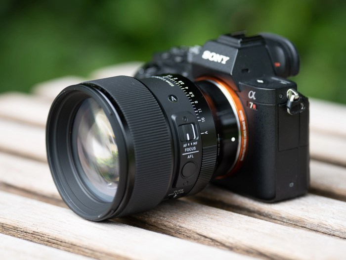 Sigma 24-70mm f/2.8 DG DN Art A Review of the Best Sony E-Mount Zoom Lens