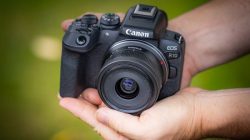 Canon EOS R7 Testing the High-Speed APS-C Mirrorless for Wildlife Photography