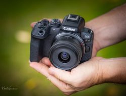 Canon EOS R7 Testing the High-Speed APS-C Mirrorless for Wildlife Photography