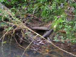 Burrow Nomad Sofa Reviewing the Best Modular Seating