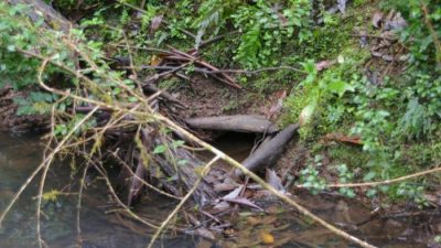 Burrow Nomad Sofa Reviewing the Best Modular Seating