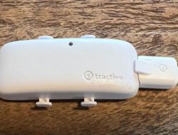 Tractive GPS Dog Tracker Testing Real-Time Location and Activity Monitoring