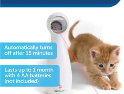 Interactive Laser Toy – Cat Exercise – PetSafe