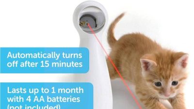 Interactive Laser Toy – Cat Exercise – PetSafe