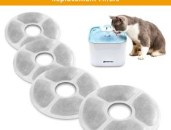Water Fountain Filter – Pet Hydration – Catit