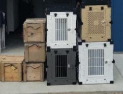 Heavy Duty Dog Crate – Travel/Training – Impact Crates