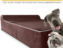 Orthopedic Memory Foam Bed – Dog Furniture – Casper