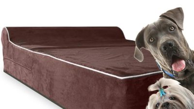 Orthopedic Memory Foam Bed – Dog Furniture – Casper