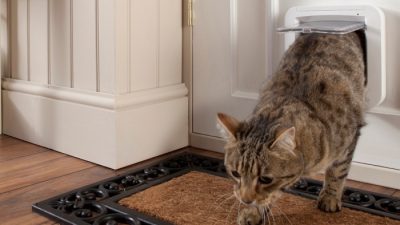Microchip Pet Door – Home Access – SureFlap Unleashed
