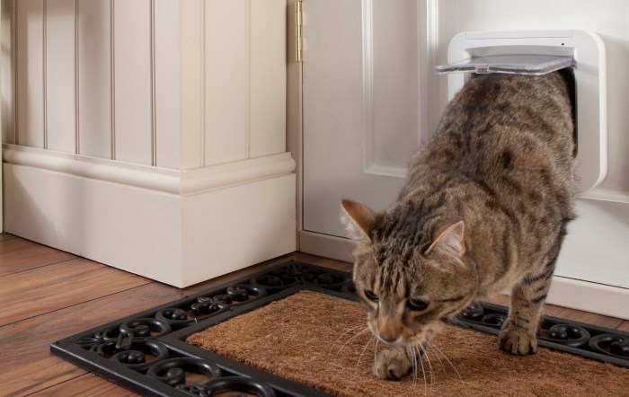 SureFlap Microchip Pet Door Microchip Pet Door - Home Access - SureFlap