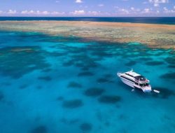 Scuba Diving Expedition – Great Barrier Reef – PADI Travel Adventure Awaits