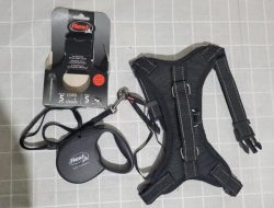 Retractable Leash – Walking Gear – Flexi Essentials