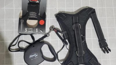 Retractable Leash – Walking Gear – Flexi Essentials