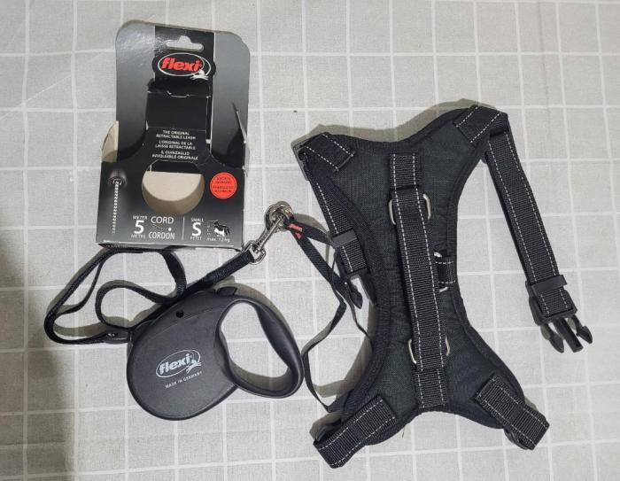 flexi retractable leashes | Linktree Retractable Leash - Walking Gear - Flexi