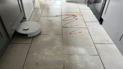 Pet Grooming Vacuum – Hair Removal – Neabot Magic