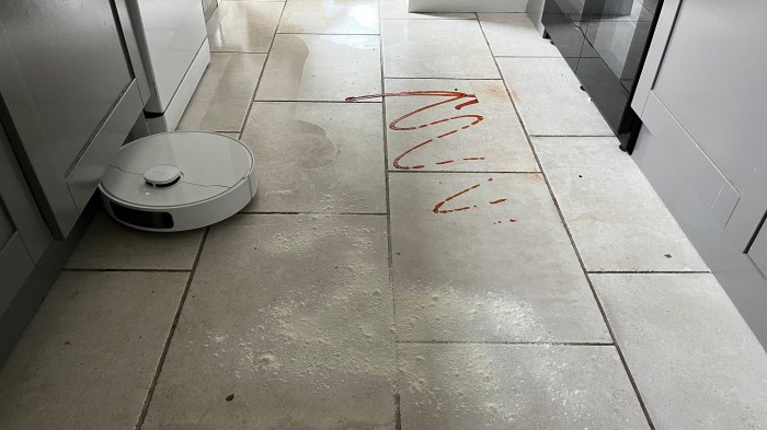 Pet Grooming Vacuum – Hair Removal – Neabot Magic