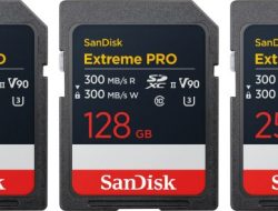 SD Card – UHS-II Speed – SanDisk Extreme Pro Performance