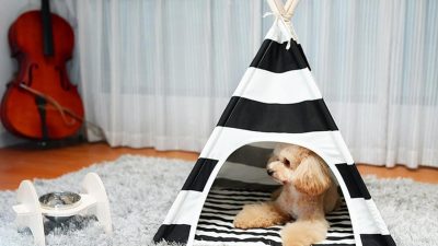 Pet Teepee – Decorative Bedding – Little Dove