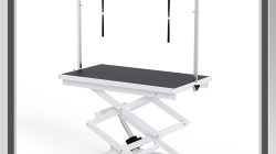 Dog Grooming Table – Professional Tool – Flying Pig