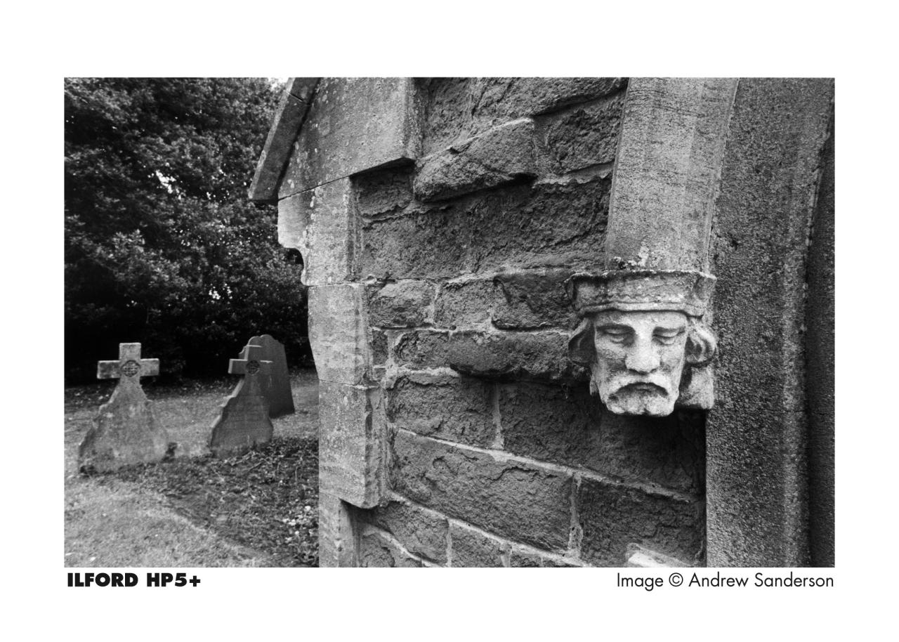 Ilford HP5 Plus Black and White Negative Film (35mm Roll Film, 36 ... Black and White Film - 120mm - Ilford HP5