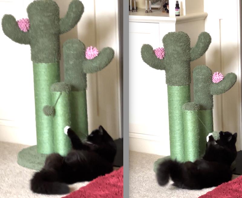 Catnip Spray – Behavioral Play – Kong for Feline Fun