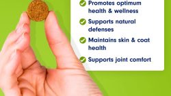 Multi-Vitamin for Dogs – General Wellness – Pet Naturals