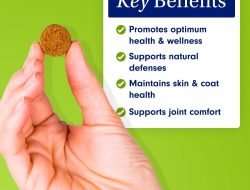 Multi-Vitamin for Dogs – General Wellness – Pet Naturals