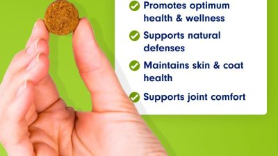 Multi-Vitamin for Dogs – General Wellness – Pet Naturals