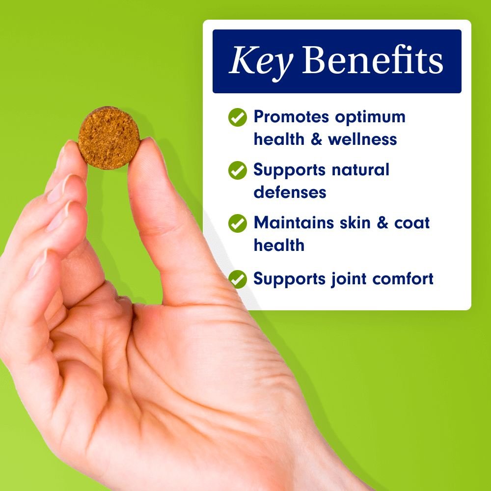 Multi-Vitamin for Dogs – General Wellness – Pet Naturals