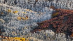 Photography Workshop – Lofoten Islands – Arctic Exposures