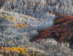 Photography Workshop – Lofoten Islands – Arctic Exposures
