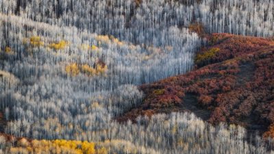 Photography Workshop – Lofoten Islands – Arctic Exposures