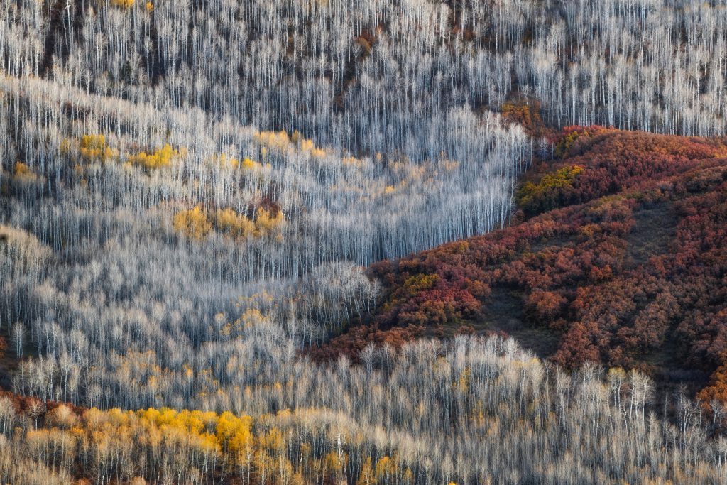 Photography Workshop - Lofoten Islands - Arctic Exposures