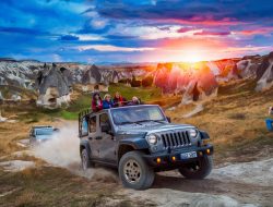 Safari Jeep Tour – Wildlife Photography – Nat Geo Expeditions Adventure