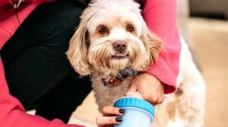 Dog Paw Washer – Portable Cleaning – MudBuster