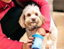 Dog Paw Washer – Portable Cleaning – MudBuster