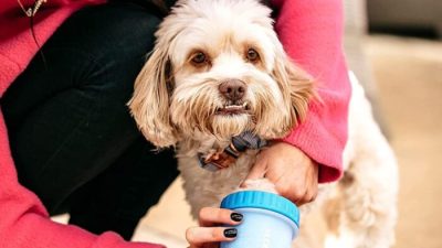 Dog Paw Washer – Portable Cleaning – MudBuster